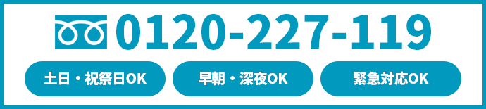 0120-722-119